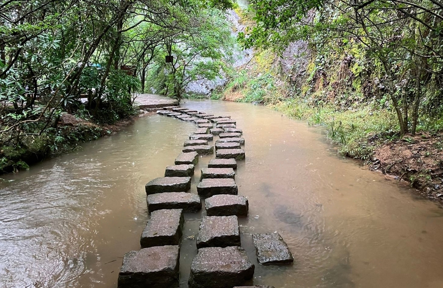 Call and Pathway Discovery